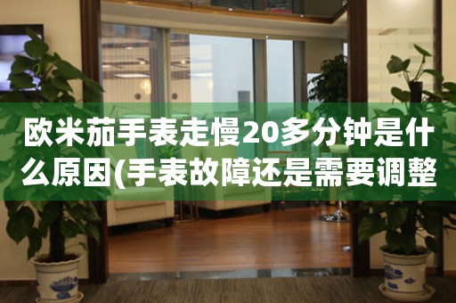 欧米茄手表走慢20多分钟是什么原因(手表故障还是需要调整？)