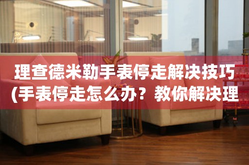 理查德米勒手表停走解决技巧(手表停走怎么办？教你解决理查德米勒手表停走问题)